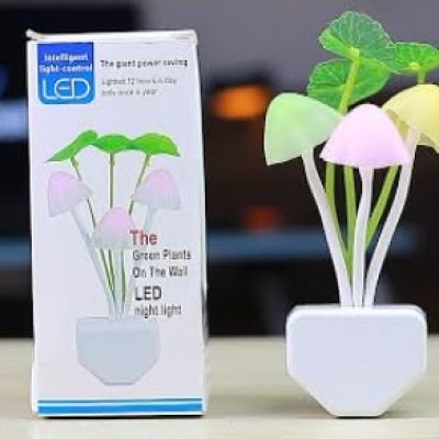 مصباح ليلي على شكل فطر Dollars for impor  B0D9D32976