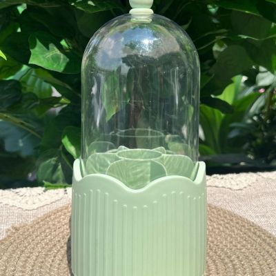 منظم ميكب وفُرش بغطاء من *أكليرك شفاف*