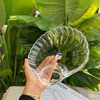 🐚 طبق زجاج على شكل صدفة – للتسالي والمقبلات  