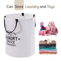 https://www.dollar-group.com/uploads/products/t/s-p-108-p-686.jpg