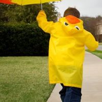 https://www.dollar-group.com/uploads/products/t/s-p-126-p-815.jpg