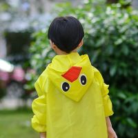 https://www.dollar-group.com/uploads/products/t/s-p-126-p-816.jpg
