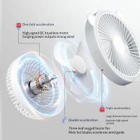 https://www.dollar-group.com/uploads/products/t/s-p-161-p-1094.jpg