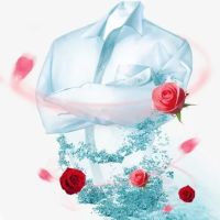 https://www.dollar-group.com/uploads/products/t/s-p-18-p-117.jpg