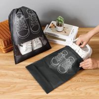 https://www.dollar-group.com/uploads/products/t/s-p-183-p-1246.jpg