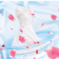 https://www.dollar-group.com/uploads/products/t/s-p-184-p-1256.jpg