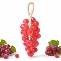 https://www.dollar-group.com/uploads/products/t/s-p-216-p-1485.jpg