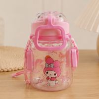 https://www.dollar-group.com/uploads/products/t/s-p-253-p-1765.jpg