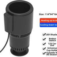 https://www.dollar-group.com/uploads/products/t/s-p-391-p-2942.jpg