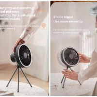 https://www.dollar-group.com/uploads/products/t/s-p-63-p-343.jpg