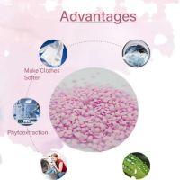 https://www.dollar-group.com/uploads/products/t/s-p-83-p-482.jpg